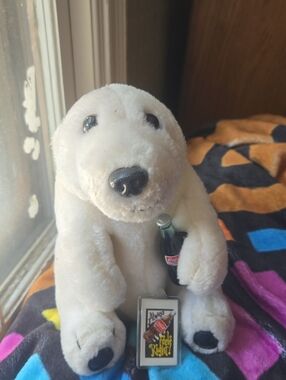 Coca-Cola Teddy Bear With A Plastic Coke Bottle And  A Coco Cola Key Chain